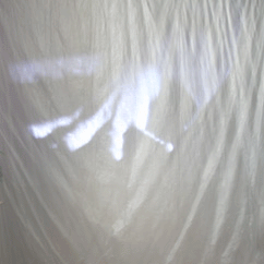 animiertes gif - Lichtbildprojektion auf Folie 2014